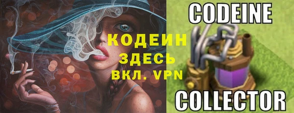 крисы Белокуриха