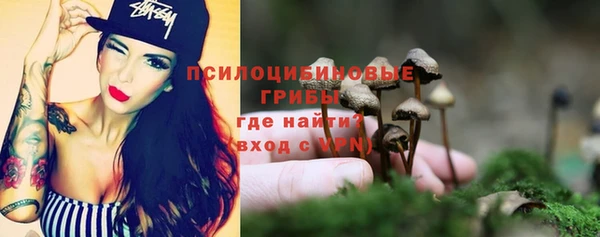 сатива Белоозёрский