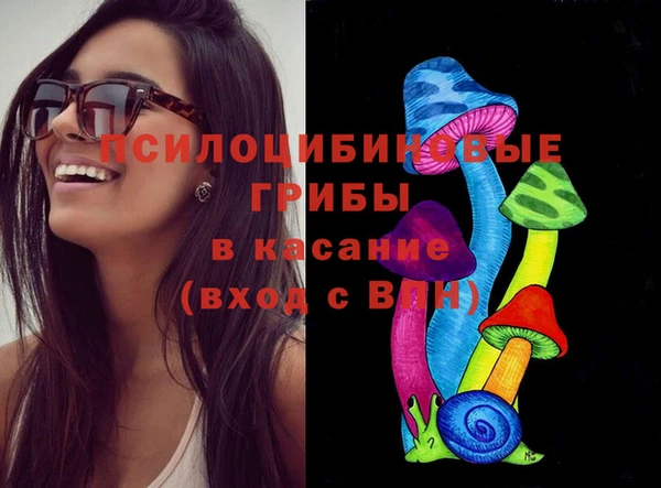 сатива Белоозёрский