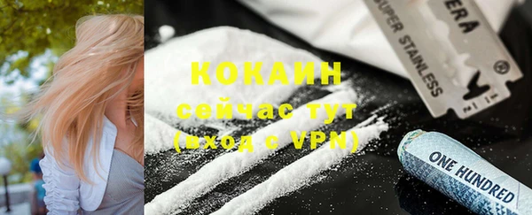крисы Белокуриха